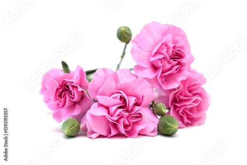 Wallpaper Mural Stack Carnations on white background Torontodigital.ca