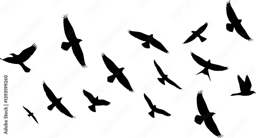 Flock of flying birds silhouette vector, Flying bird black silhouette vector set
Flock of flying birds silhouette vector, Flying bird black silhouette vector set