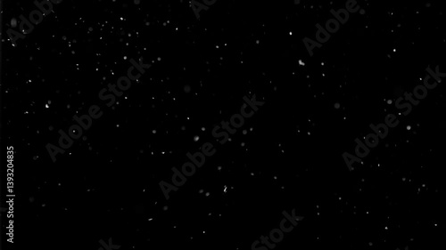 Dust Particles Floating On Black Background	

