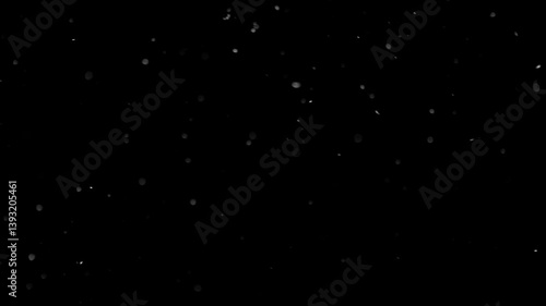 Dust Particles Floating On Black Background	
