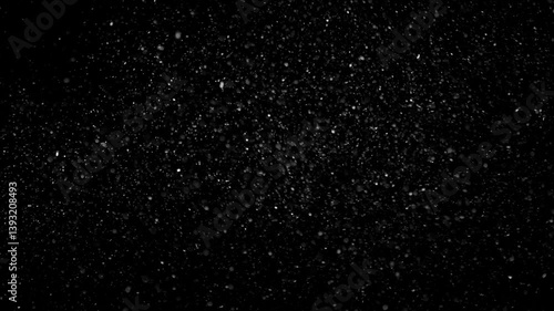 Dust Particles Floating On Black Background	
