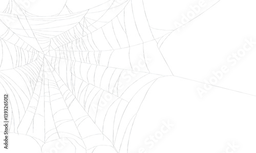 Spider web on transparent background