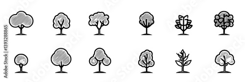 Collection of Sycamores vector icons, Sycamores vector graphics