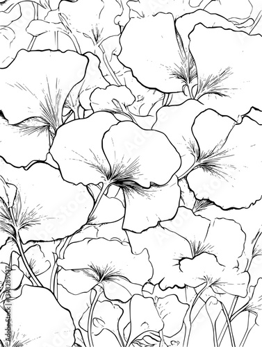 Ginkgo coloring book vector design, Ginkgo vector illustration