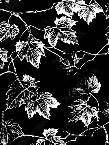 Sycamore vector design, Sycamore vector graphic