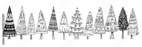 Collection of Spruces coloring book vector designs, Spruces vector graphics