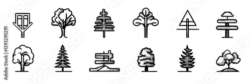 Collection of Sequoias vector icons, Sequoias vector illustrations