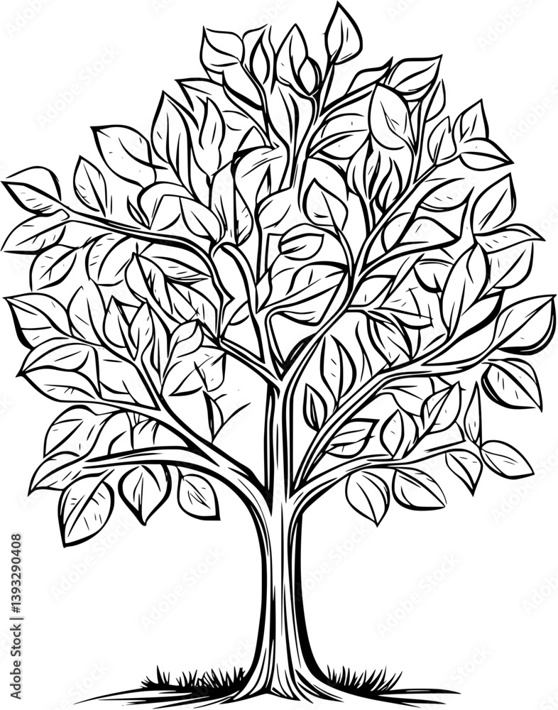 Obraz premium Elm coloring book vector design, Elm vector illustration