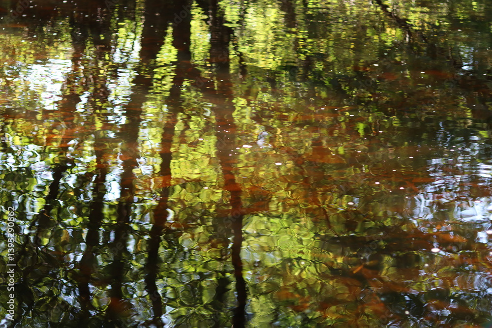 Obraz premium Green reflections and sun beams in a woodland river in summer