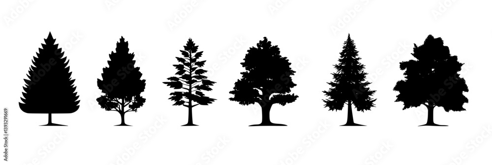 Collection of Cypresses vector icons, Cypresses vector graphics