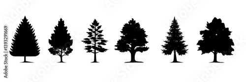 Collection of Cypresses vector icons, Cypresses vector graphics