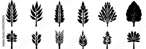Collection of Larches vector icons, Larches vector images