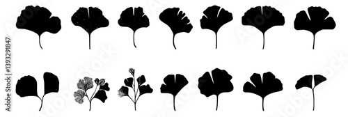 Collection of Ginkgos vector icons, Ginkgos illustration art