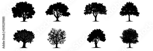 Collection of Oaks vector icons, Oaks vector images
