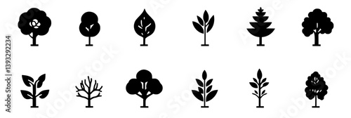 Collection of Sycamores vector icons, Sycamores illustration art