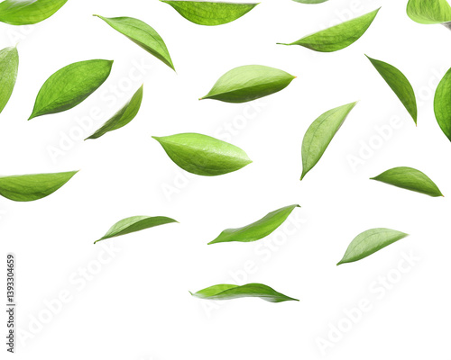 Many fresh green leaves flying on white background