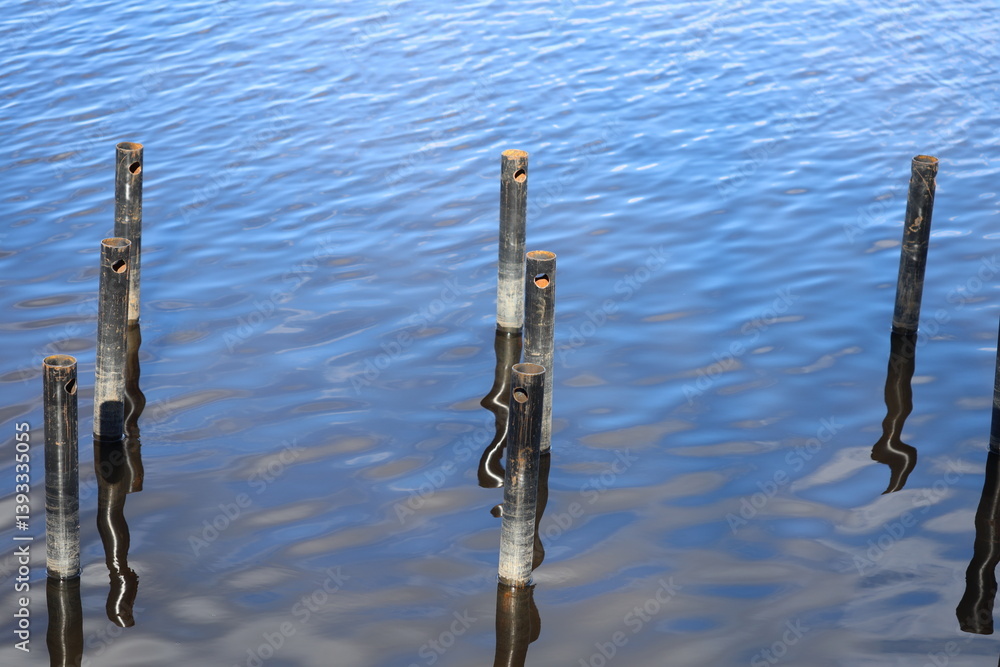 A row of poles sticking out of the water, possibly used for fishing or swimming.