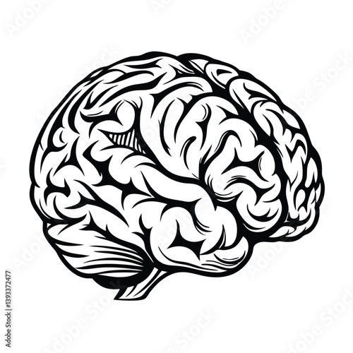 Intricate Line Art of a Human Brain, Anatomical Design, Black Ink on White Background