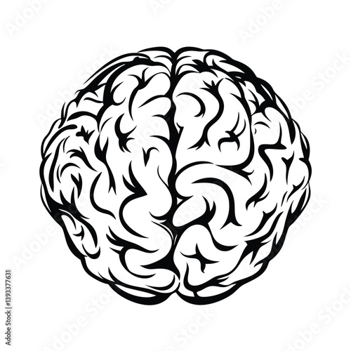 Stylized Human Brain in Black and White on Clear Background Brainy Art