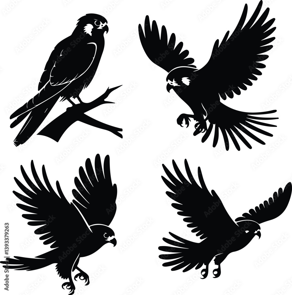 Obraz premium Kestrel Silhouette Set for Bird of Prey and Wildlife Designs Flying Kestrel Falcon Silhouettes for Nature and Hunting Projects
