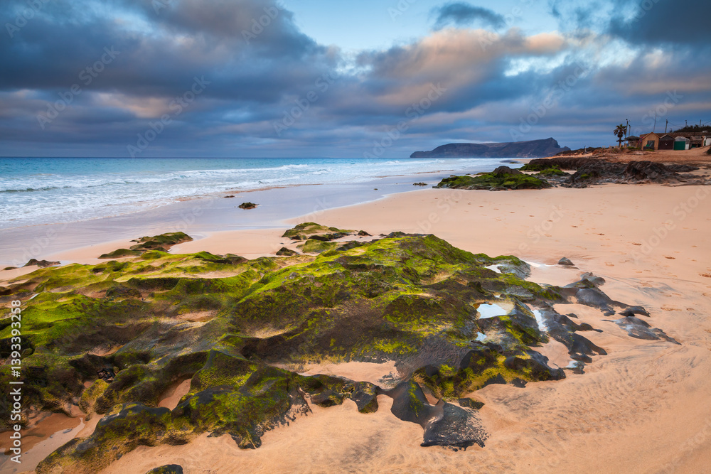 Coastal landscape featuring sandy shores, green seaweed-covered rocks