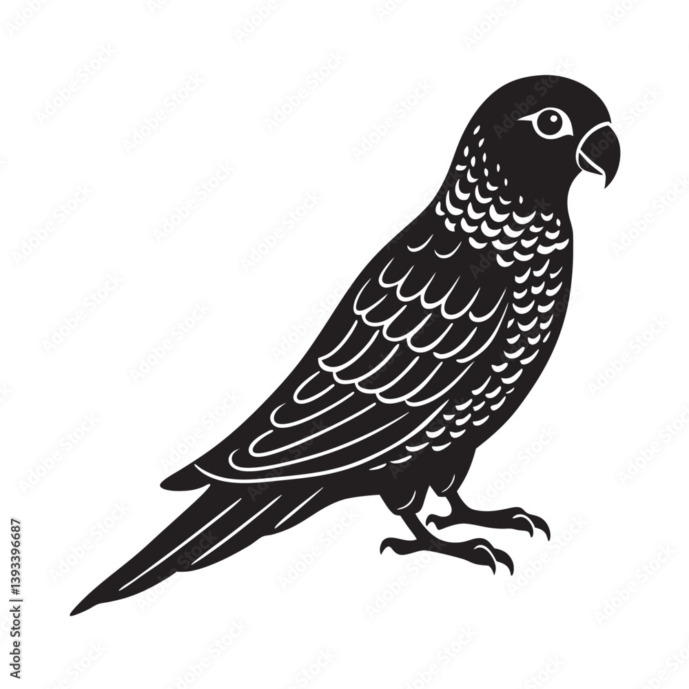 Fototapeta premium Golden Conure Bird Design