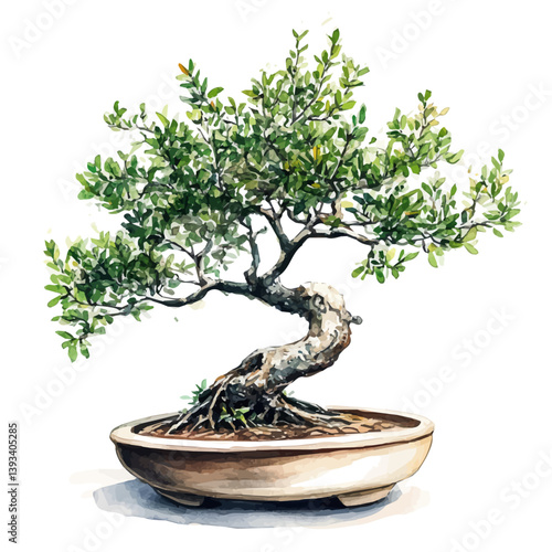 A watercolor vector illustration of a Tea Tree Bonsai, isolated on a white background.

