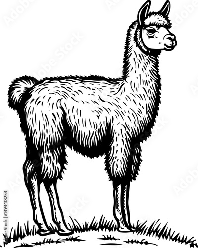 alpaca, animal, horse, vector, illustration, mammal, silhouette, deer, cartoon, wild, farm, nature, wildlife, camel, animals, donkey, art, drawing, goat, design, pony, standing, llama, stallion, dog, 