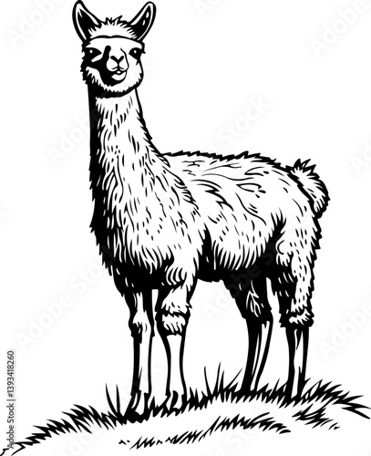 alpaca, animal, horse, vector, illustration, mammal, silhouette, deer, cartoon, wild, farm, nature, wildlife, camel, animals, donkey, art, drawing, goat, design, pony, standing, llama, stallion, dog, 
