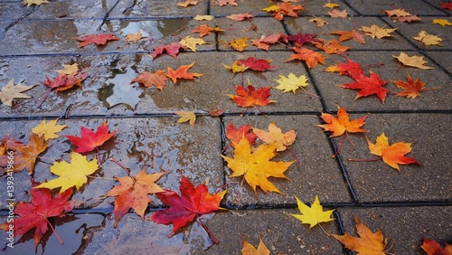 A pile of autumn leaves scattered on the ground