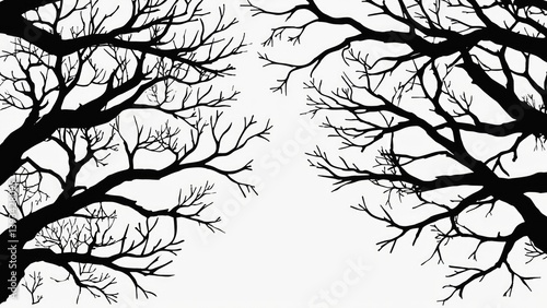 Obraz na płótnie A pair of trees in black and white photography w salonie