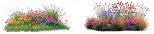 Colorful wildflower and grass landscaping elements isolated
