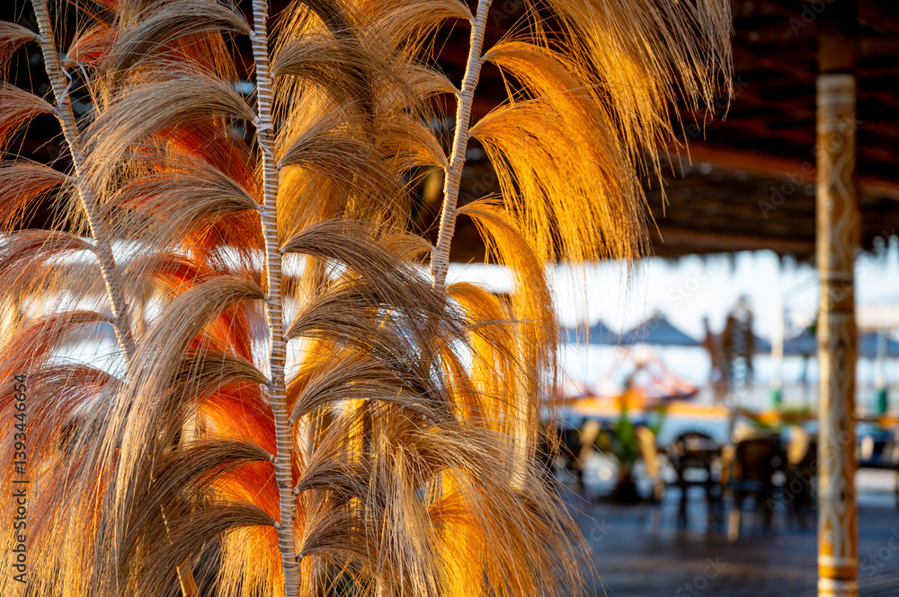 Macro view of faux reed stems used as decorative interior element. Soft focus, neutral tones and natural textures — ideal for modern, boho or minimalist home styling.
