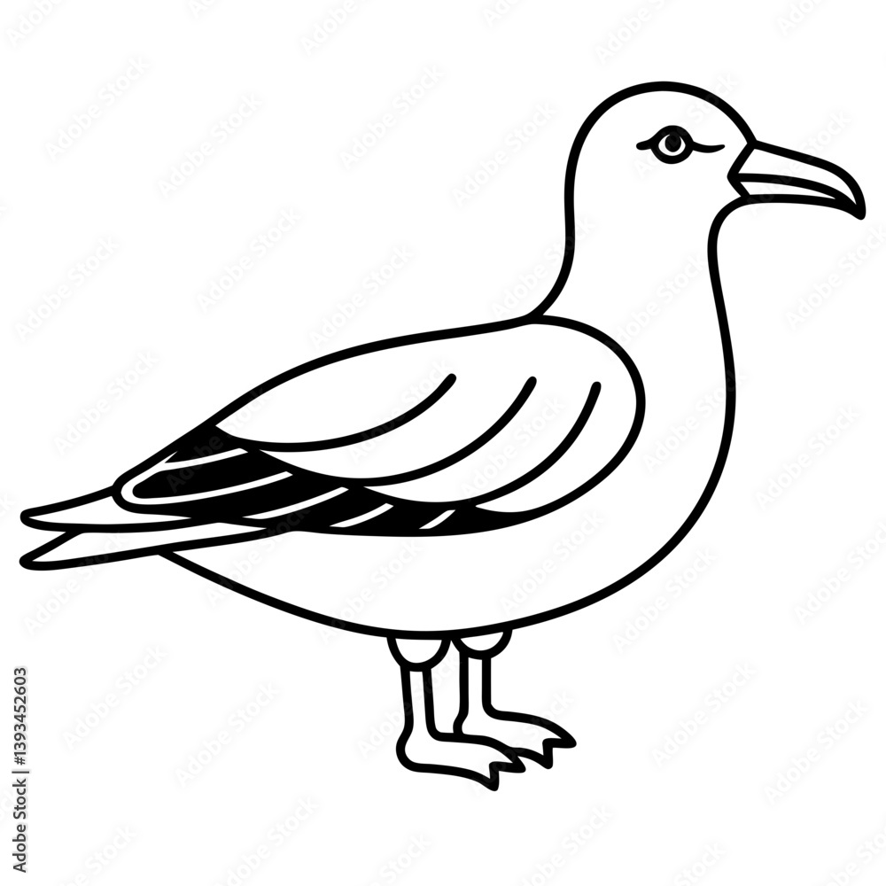 Obraz premium duck isolated on white background