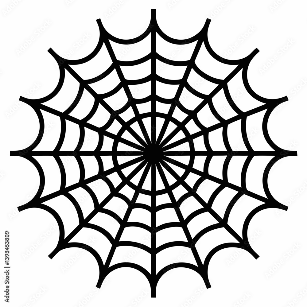 Fototapeta premium spider and web