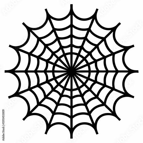spider and web