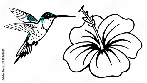 Teal Hummingbird Hibiscus Flower Black and White Line Art