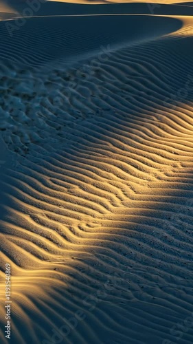 Golden light casts shadows on textured sand dunes at sunset in a tranquil desert landscape