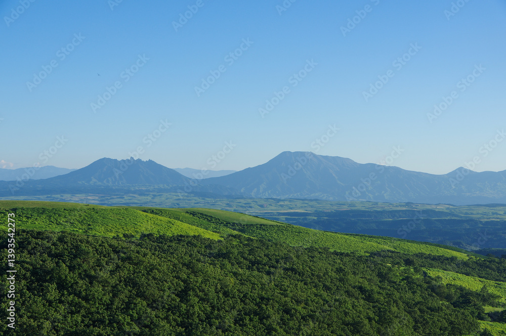 Fototapeta premium 夏の高原