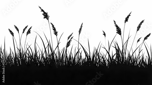 Black and White Silhouette of Tall Grass in a Rural Meadow: Eco-Friendly Nature Illustration