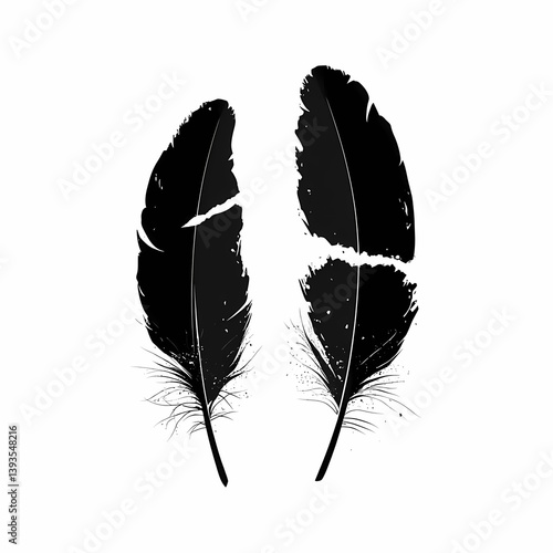 Elegant Black Feather Illustration - Monochrome Vector Design with Ornate Details