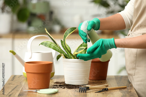 Woman spraying leaves of sa...
