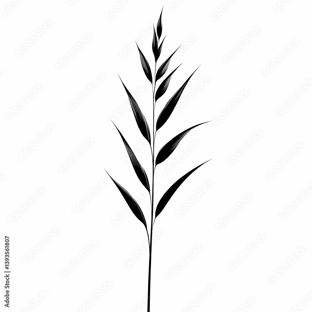 Elegant Botanical Silhouette: Isolated Greenery and Ornamental Leaf Arrangement in Black and White for Minimalistic Decor Elegant Botanical Silhouette: Isolated Greenery and Ornamental Leaf Arrangement in Black and White for Minimalistic Decor