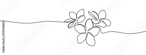 Continuous line, frangipani flower line art vector illustration with white background editable stroke.