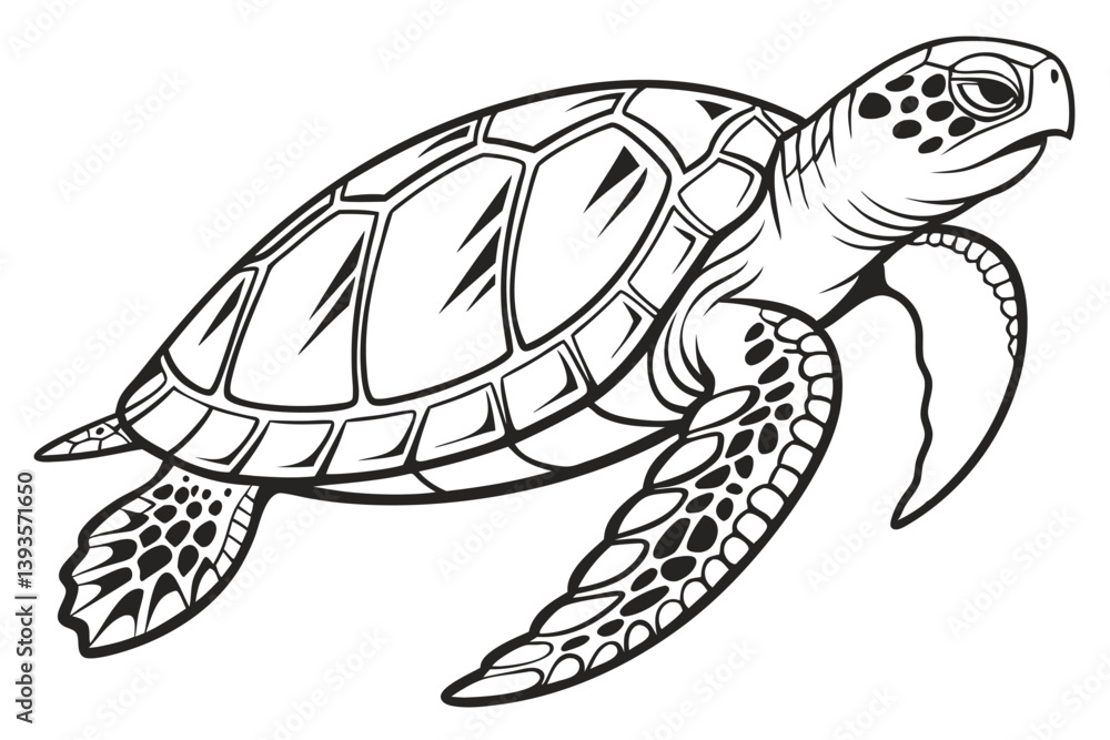 Fototapeta premium coloring pages for kids for brain development. Turtle outline vector illustration and ready for print. 