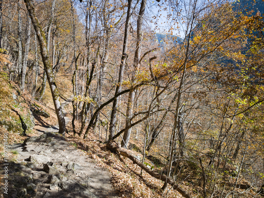 Autumn landscape of Rila Mountain, Bulgaria Autumn landscape of Rila Mountain, Bulgaria