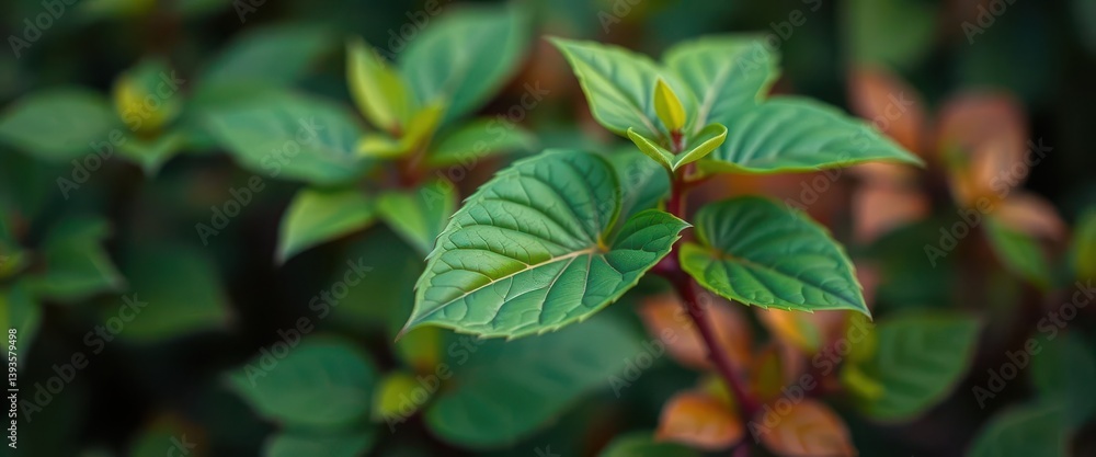 Obraz premium Emerald green foliage, blurred background, sharp focus on central leaf, bokeh, vibrant