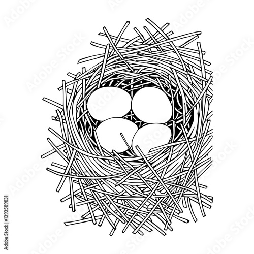 Bird Nest with Eggs - Line Art Illustration