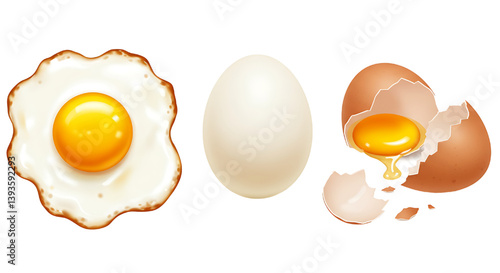 fried,boiled,broken egg vector illustration isolated on white background 