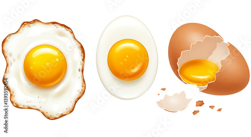 fried,boiled,broken egg vector illustration isolated on white background 